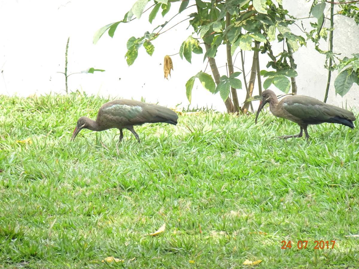 Kivu Beach Garden Gisenyi Dış mekan fotoğraf