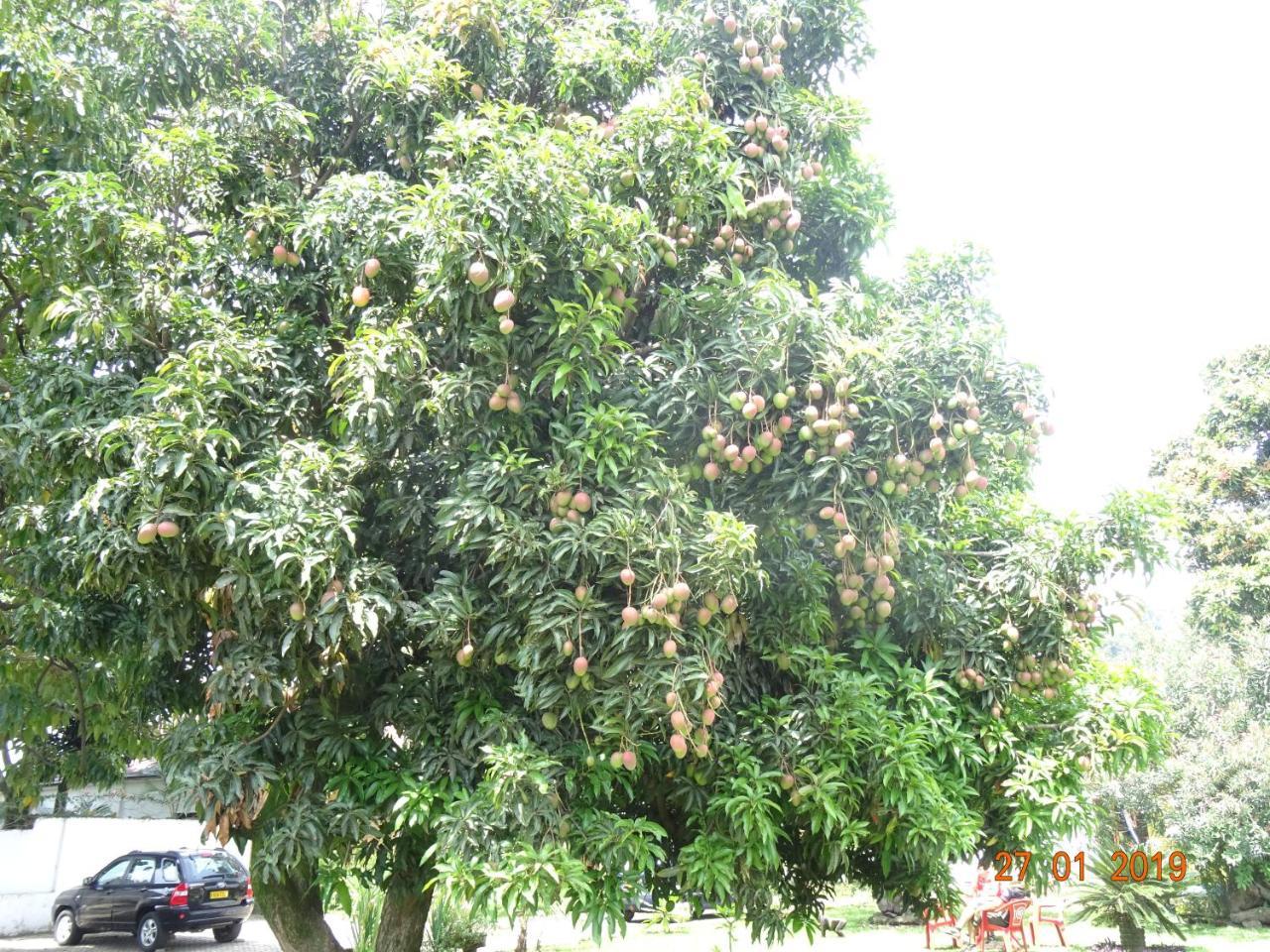 Kivu Beach Garden Gisenyi Dış mekan fotoğraf